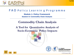 Policy Framework Session 6: Commodity Chain Analysis