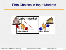 Chapter 9: Input Demand: The Labor and Land Markets