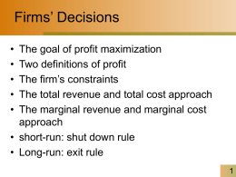 Chapter 7 - How Firms Make Decisions