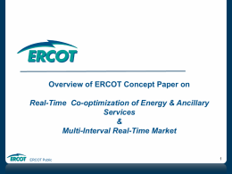 03. Overview RT Co-Opt and Multi-Interval