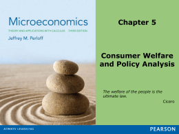 Consumer Welfare and Policy Analysis