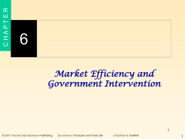 Market Efficiency and Government Intervention