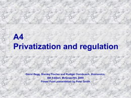 Chapter 19 Privatization and nationalization
