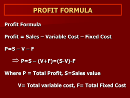 profit as business objective