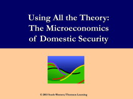 UT Microeconomics of Domestic Security