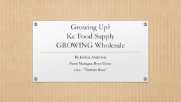 Wholesale Growing by Joshua Anderson of Boys Grow