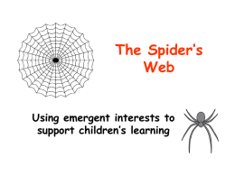 The Spider’s Web - Queensland Studies Authority