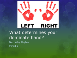 What determines your dominate hand?