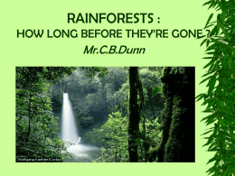 RAINFORESTS : HOW LONG BEFORE THEY`RE GONE ?