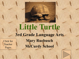 Little Turtle: Summary