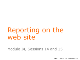 Reporting on the web site