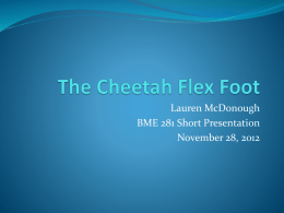 The Cheetah Flex Foot
