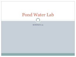 Take 2! Pond Water Lab