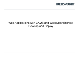 RIA Applications in Websydian with Ext JS v1