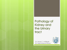Benign and Malignant Tumours of the Kidney and Urinary Bladder