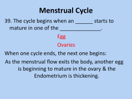 Female Cycle