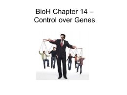 BioH Control over Genes Ch14