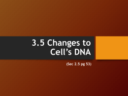 2.5 Changes to a cell`s DNA