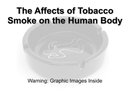The Affects of Tobacco Smoke on the Human Body
