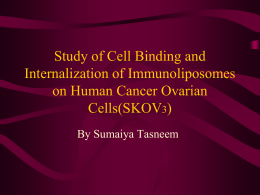 Study of Cell Binding and Internalization