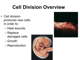 Chapter 5 Cell Division & Cancer