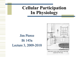 lecture03-cell-physiology