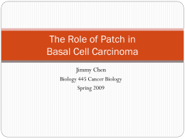 The Role of Patched in Basal Cell Carcinoma