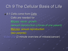 Ch 9 The Cellular Basis of Life