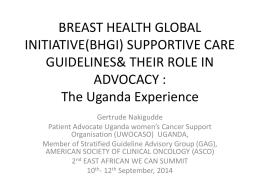 Breast Health Global Initiative (BHGI) Supportive Care Guidelines