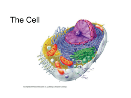 The Cell - Human Anatomy