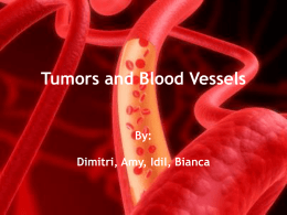 Tumors and Blood Vessels By