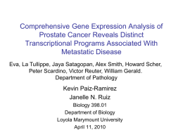 Comprehensive Gene Expression Analysis of