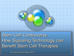 Signaling and Stem Cells nov 2011