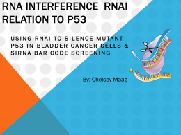 RNA interference RNAi relation to p53