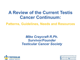 A Review of the Current Testis Cancer Continuum