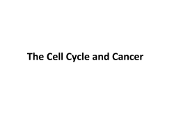 Cell Death and Cancer