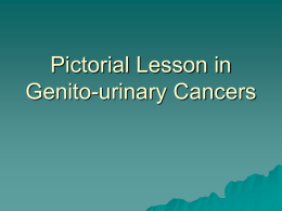 Pictorial Lessons in Genitourinary Cancers