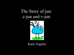 The Story of jun: c-jun and v-jun