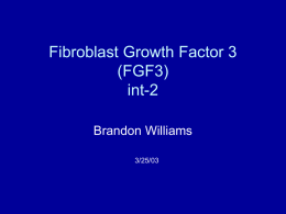 Fibroblast Growth Factor 3 (FGF3) int