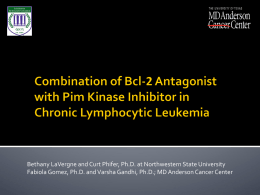 Combination of Pim kinase inhibitor with Bcl