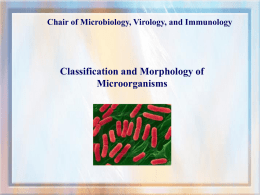 02 Classification and Morphology of Microorganisms