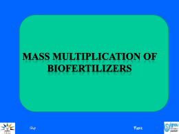 Mass Multiplication of Biofertilizers