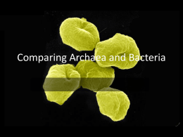 Comparing Archaea and Bacteria