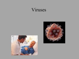 Viruses and Viroids