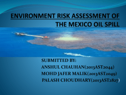 ECOLOGICAL RISK ASSESSMENT OF THE MUMBAI OIL SPILL