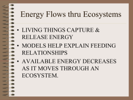 Energy Flows thru Ecosystems