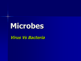 Bacteria_Vs_Virus_2014 - Kenston Local Schools