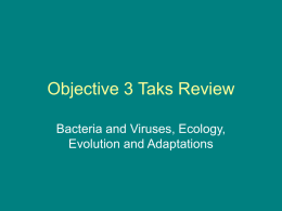 Objective 3 Taks Review