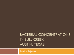 Bacterial concentrations in bull creek Austin, Texas