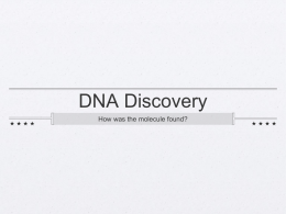 DNA extensions